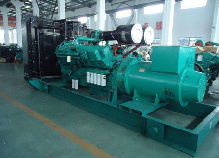 神农架800kw康明斯柴油发电机组
